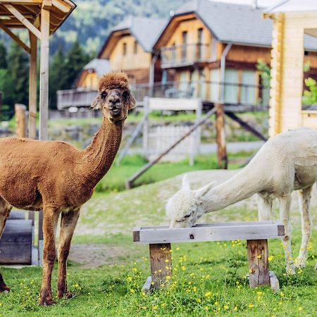 Alpenchalet Alpakablick Sankt Lorenzen ob Murau Esterno foto